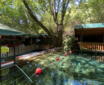 Yuvarlakçay Çınar Restaurant